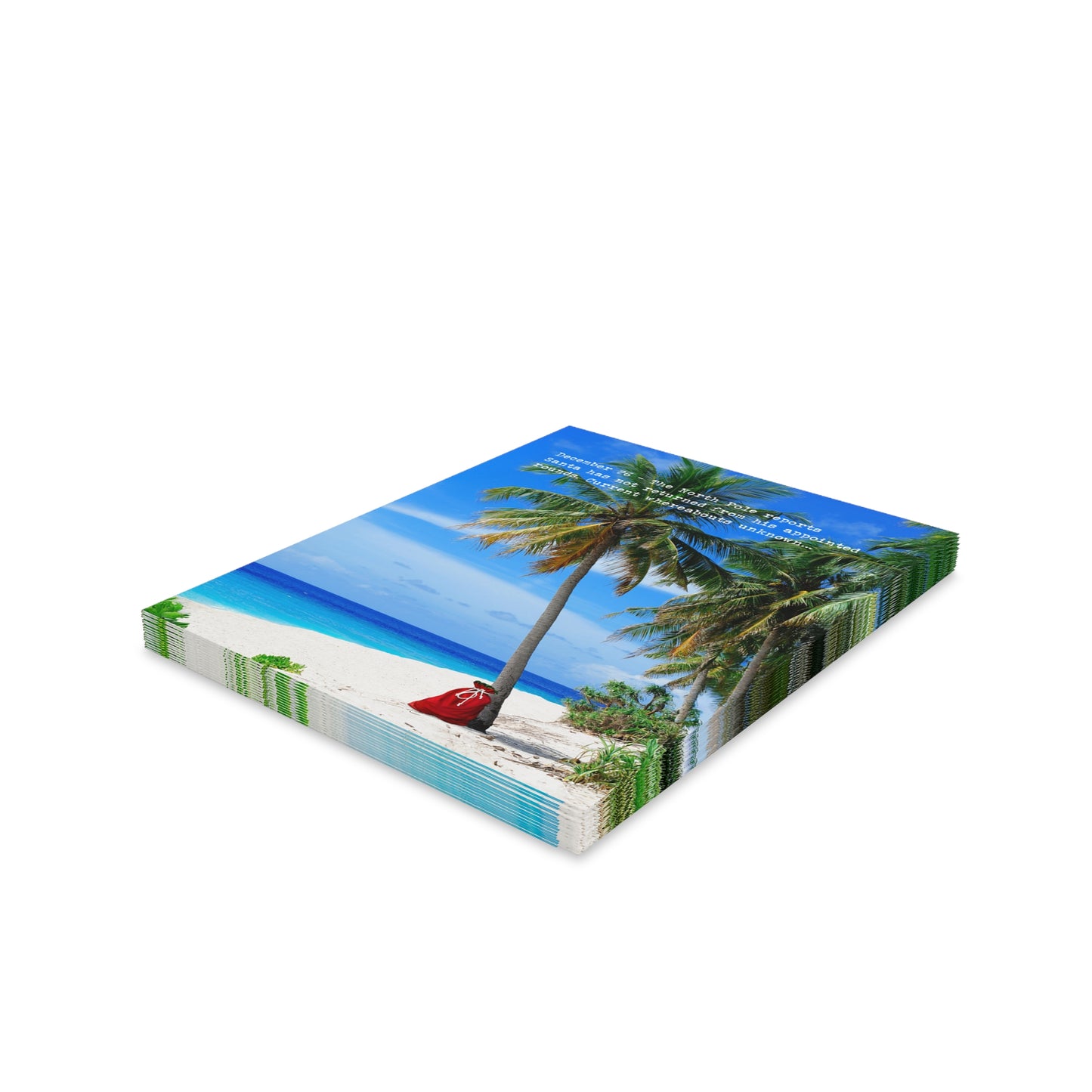 Santa MIA Christmas Cards