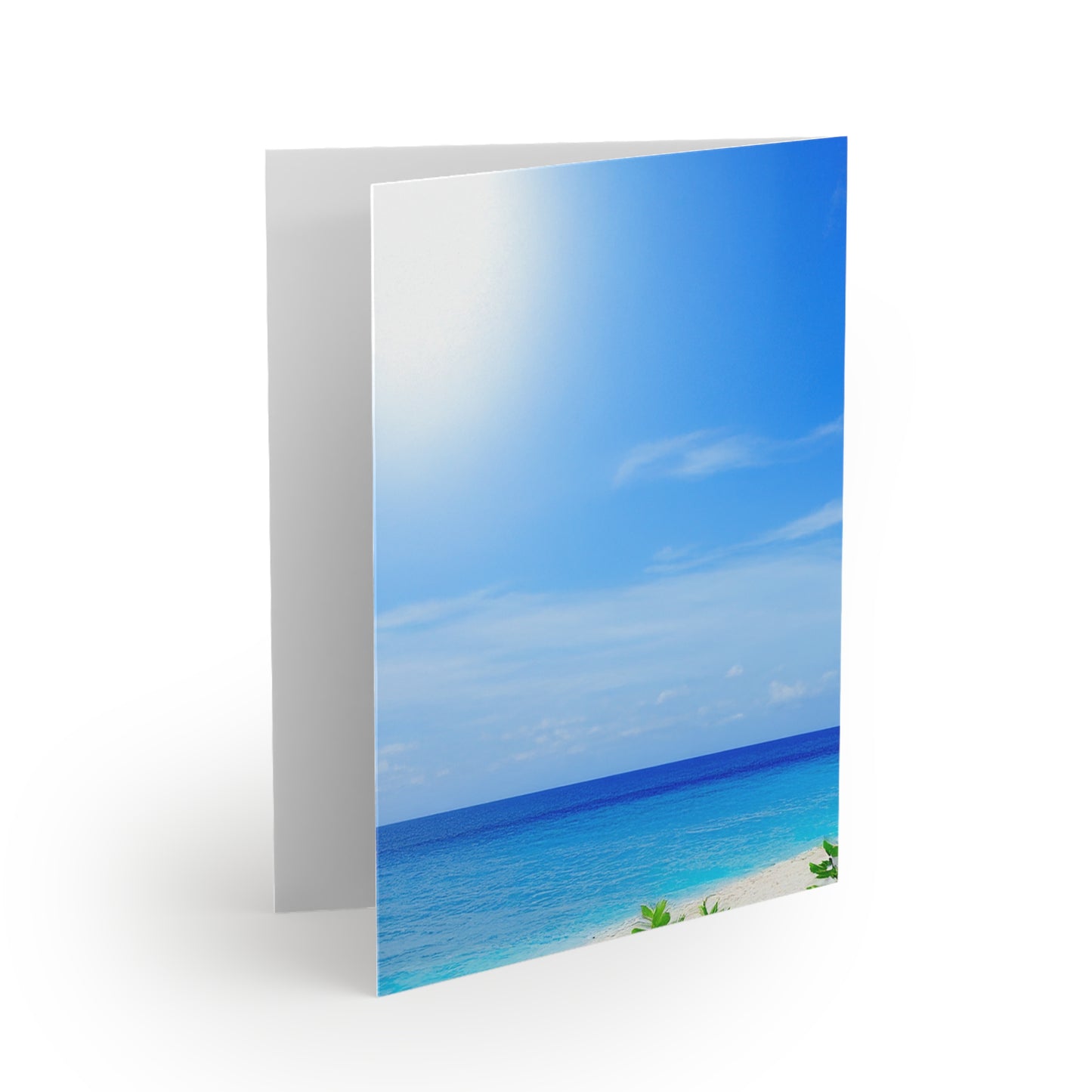 Santa MIA Christmas Cards