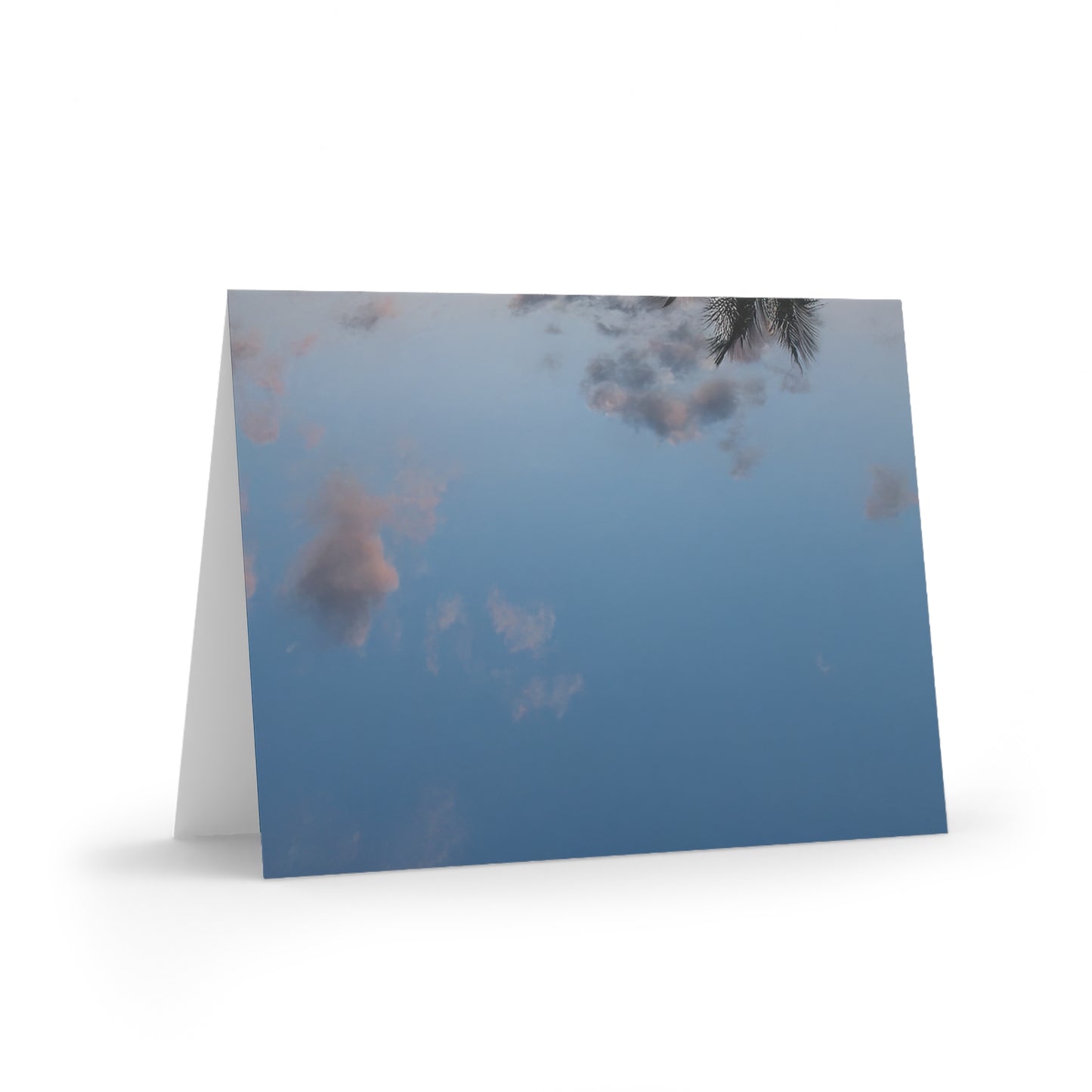 Sunset Christmas Cards